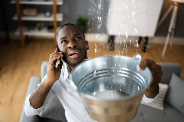 Best Residential water damage restoration  in Brandon, MS