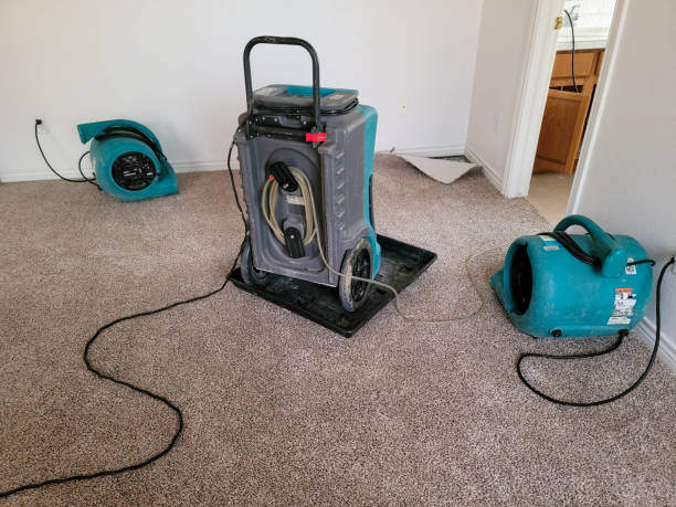 Best Ceiling water damage repair  in Brandon, MS