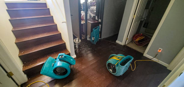 Reliable Brandon, MS Water damage restoration Solutions