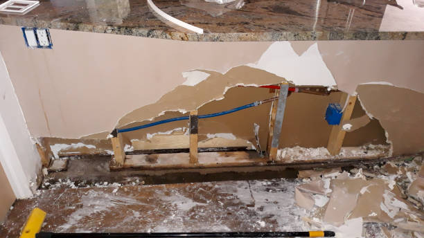 Best 24/7 water damage repair  in Brandon, MS