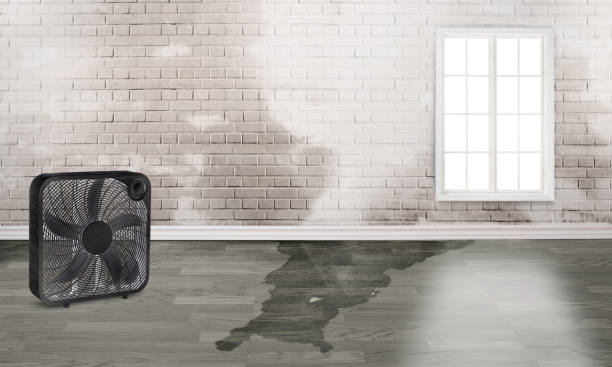 Best 24-hour water damage restoration  in Brandon, MS