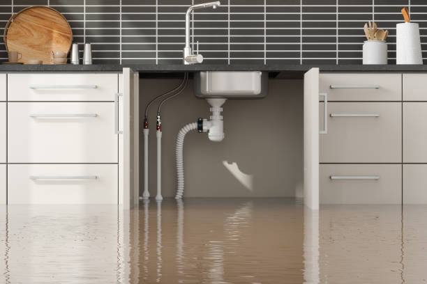 Best Mold removal after water damage  in Brandon, MS