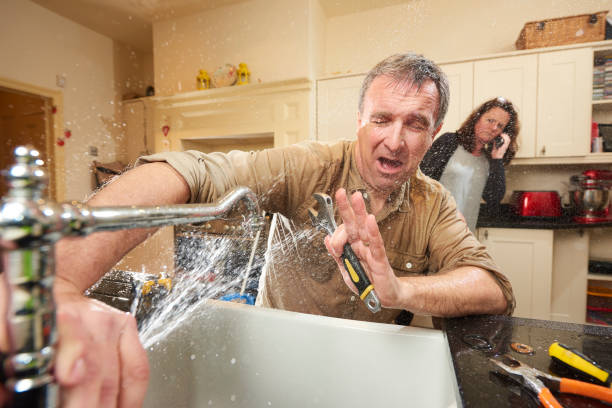 Best Water damage cleanup near me  in Brandon, MS